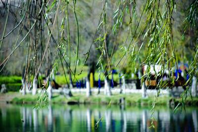芒种 | 仲夏时节开始，是时候到丽江开启一场避暑之旅！