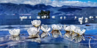 这份丽江泸沽湖夏季限定风景，千万别错过！