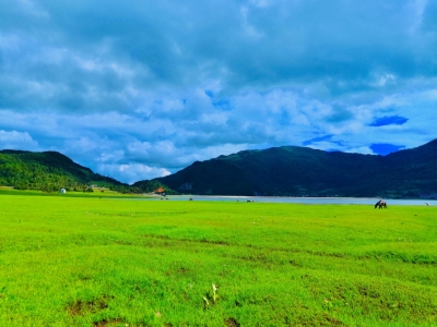 丽江小众秘境指南｜夏天的文海，“诗情画意”全有！