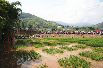 丽江华坪首届新庄乡村旅游节共接待游客4.4万人