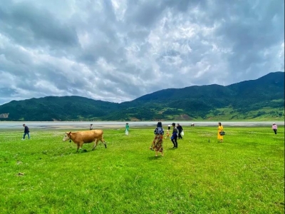 丽江小众秘境指南｜夏天的文海，“诗情画意”全有！