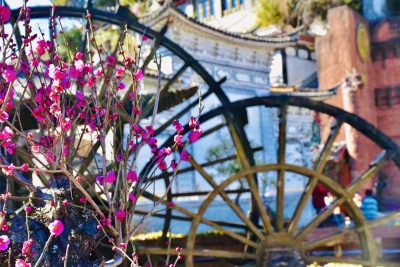 攻略｜丽江古城打卡行，寻迹文化院落（三）