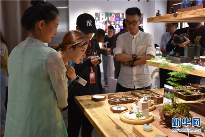 多名专家献智丽江文旅融合发展