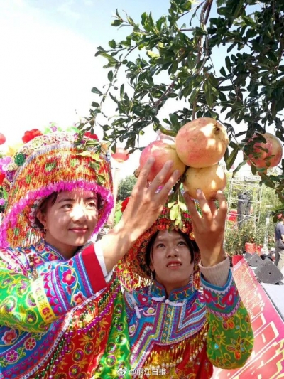 丽江市委市政府印发方案打造乡村振兴示范区试点