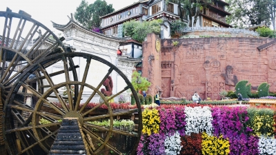 国庆游丽江丨35000余盆菊花在丽江古城盛放 恭迎八方游客