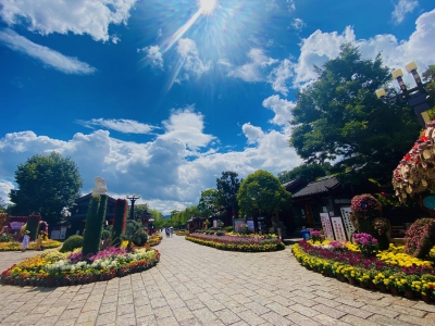国庆游丽江丨35000余盆菊花在丽江古城盛放 恭迎八方游客