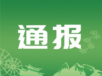 丽江市文化和旅游局通报15起旅游市场行政处罚案件