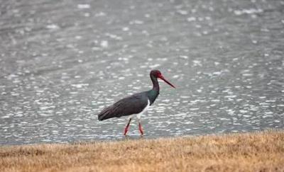 喜迎COP15丨《秘境生灵》摄影展在丽江市博物院开幕