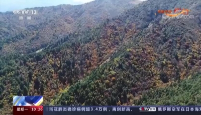 视频｜丽江又上央视！这次是“地球原貌”老君山