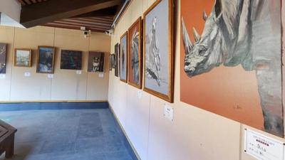丽江市博物院新展开幕，这次展出的作品很有爱！