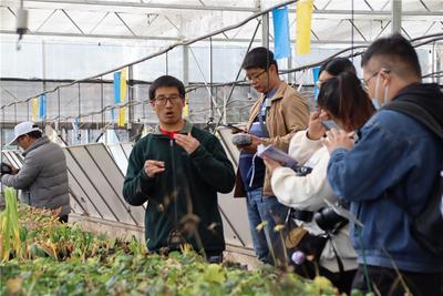 COP15｜打卡丽江“高原植物宝库”——高山植物园  