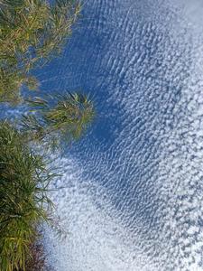 治愈系美图！你被今天丽江的蓝天白云刷屏了吗？