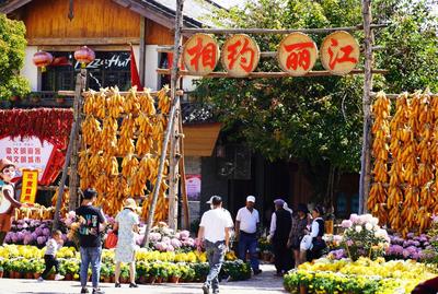 天雨流芳·文旅大集丨抢券啦！10点发放！丽江文旅惠民消费券年末大放送