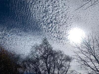 治愈系美图！你被今天丽江的蓝天白云刷屏了吗？