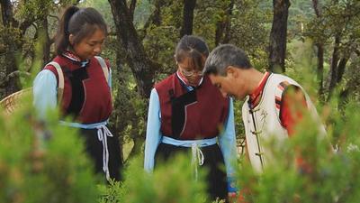 走进丽江·民族民间文化艺术——东巴纸（做一张好纸） 