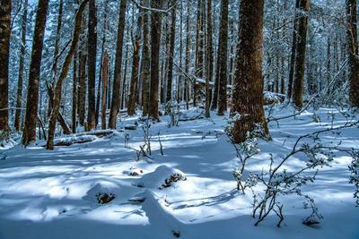 丽江最美雪景动人心，引众人前来摄影、旅拍！