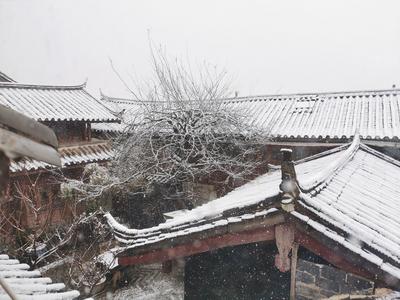 丽江飘雪 飞花入户时 坐看青竹变琼枝