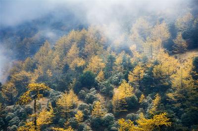 多图丨俯瞰丽江，别样的视角！
