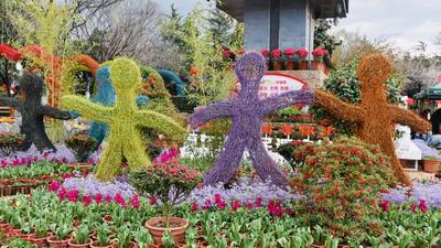 ​过年在丽江丨春节假期接近尾声，快来打卡充满春意的丽江！