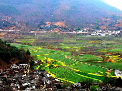 当季丨丽江春天出游攻略，提前收藏！