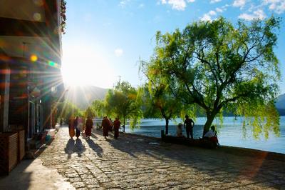 看！这是丽江春天的颜色