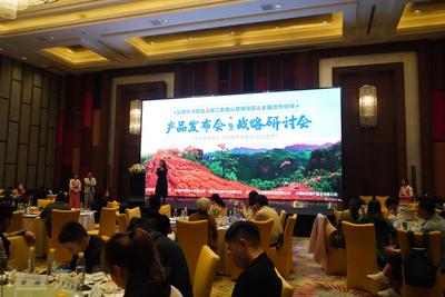 是“雪中炭”也是“强心剂”，丽江各旅行社将积极利用好纾困补助，渡难关！