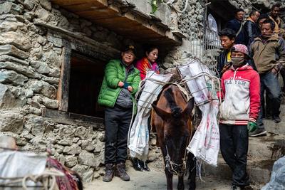 茶马古道与丽江丨老商道上的旅游“新商机”  