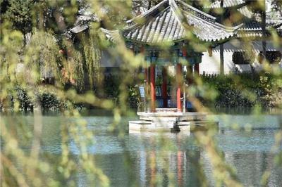 清明丨春和景明 不妨游衍丽江莫忘归
