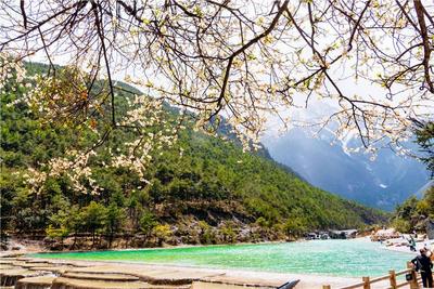 春暖花开 丽江欢迎您丨玉龙雪山之春 处处皆为景
