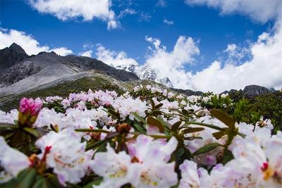 游云南 正当时 | 丽江：“生态环境” 让“诗和远方”更加美好！