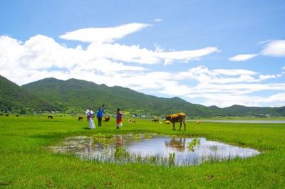 丽江小众秘境指南｜打卡文海吧 那里正繁花似锦 绿草如茵