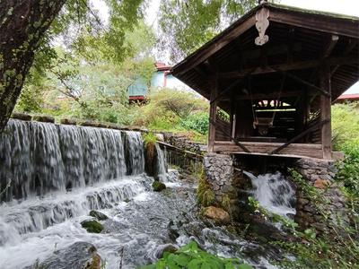 在玉水寨，聆听自然美好的生命之歌