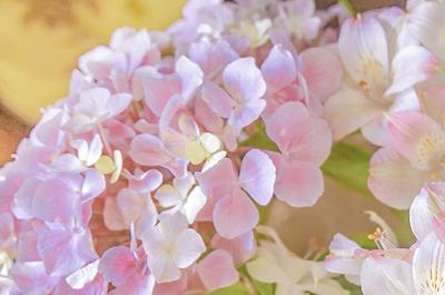 国庆长假｜惠游丽江 精彩活动 丰富好礼 请查收！