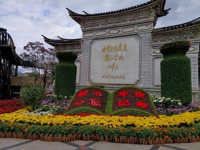 国庆假期｜三万多盆菊花装点丽江古城  秋色缤纷