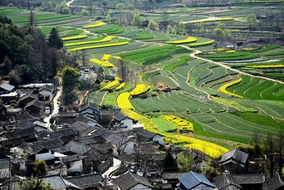 惊蛰 | 丽江江湾春光融融 村游寻春正当时 