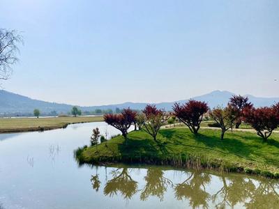 春暖花开 丽江欢迎您｜拉市镇美丽乡村魅力无限！