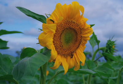 乐享云南｜美景·江川星云湖畔