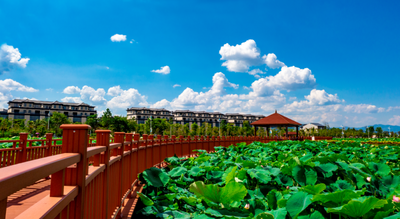 乐享云南｜美景·江川星云湖畔