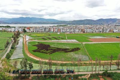 乐享云南｜美景·江川星云湖畔