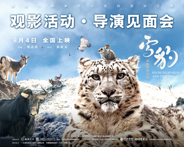 8月4日《雪豹和“她”的朋友们》全国公映 导演见面会将在丽江召开