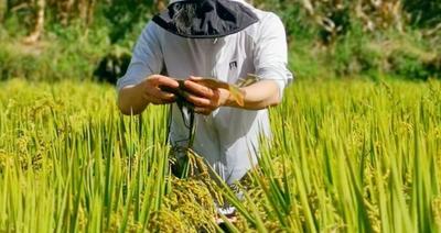 “花好月圆迎国庆·有一种叫云南的生活”文化旅游惠民  精彩活动看这里！