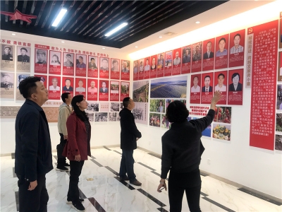 楚雄州文化和旅游局局长戴凤玲深入元谋县调研指导工作