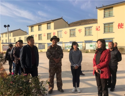 楚雄州文化和旅游局局长戴凤玲深入元谋县调研指导工作