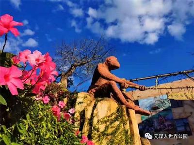 【新春游楚雄】春节避寒首选，到元谋过一个暖洋洋的新年！