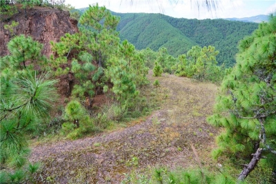 南华县文旅局领导调研滇缅公路遗迹资源