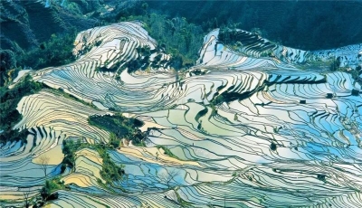 全部通过评审！云南9家旅游景区列入5A预备名单