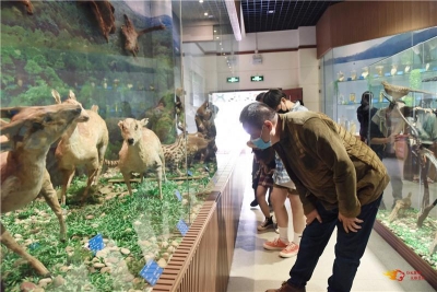 “云南人游云南”就爱去楚雄首发团走进州博物馆