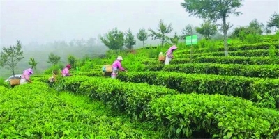 疫情过后，到楚雄开启一场生态康养之旅