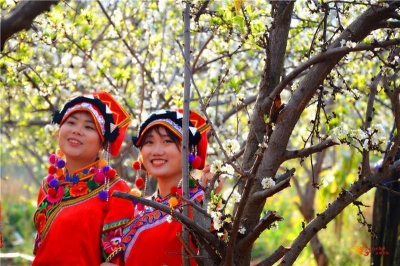 云赏花 | 最美春分日，这是属于你的花花世界~