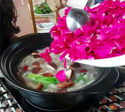 提前预约！4月下旬到姚安东方玫瑰谷赴浪漫之约